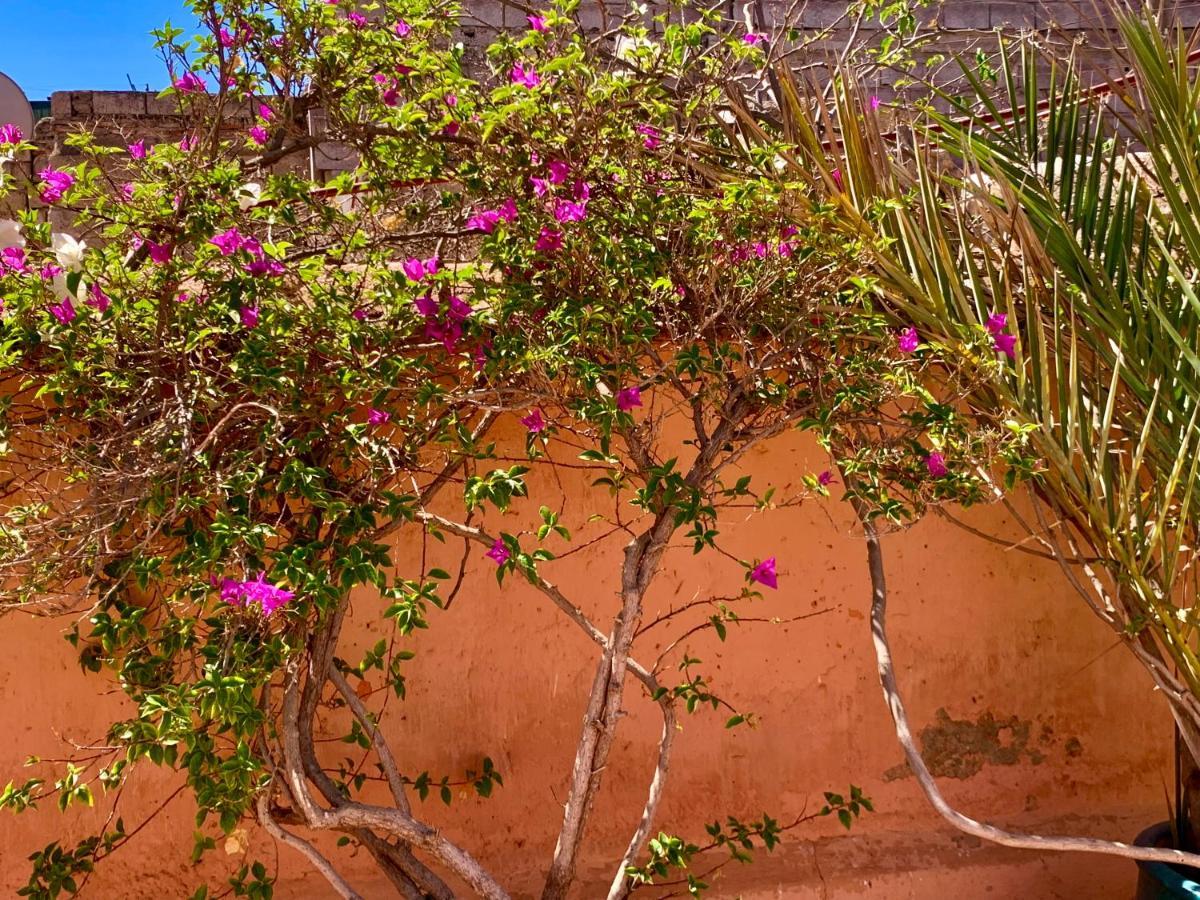 Dar Zemrane Hotel Marrakesh Eksteriør billede