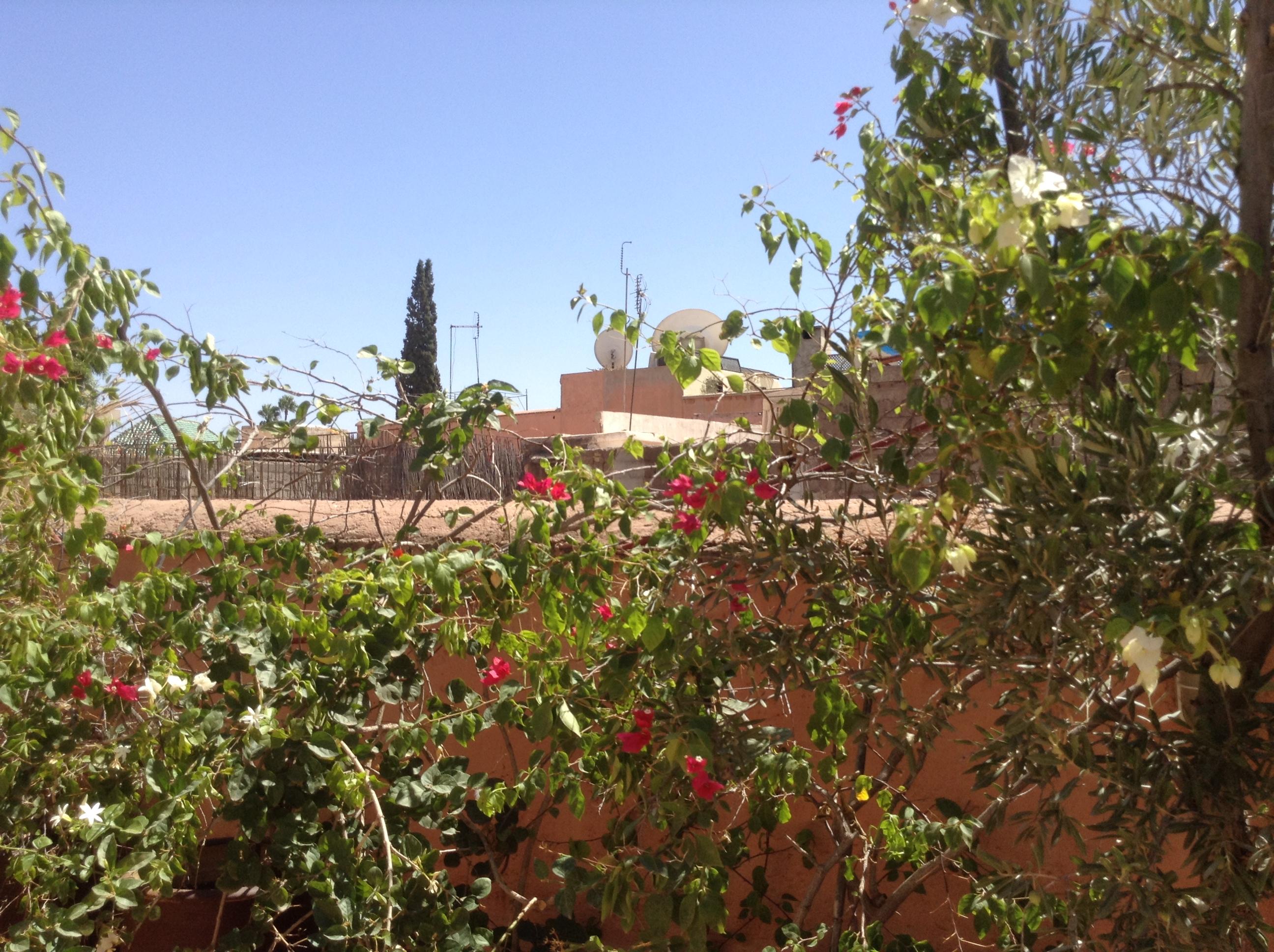 Dar Zemrane Hotel Marrakesh Eksteriør billede